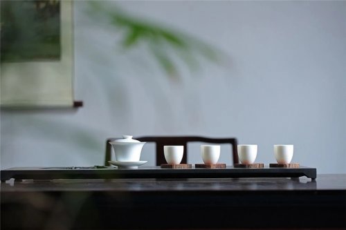簡小葉說茶|白茶存放多久更好喝？